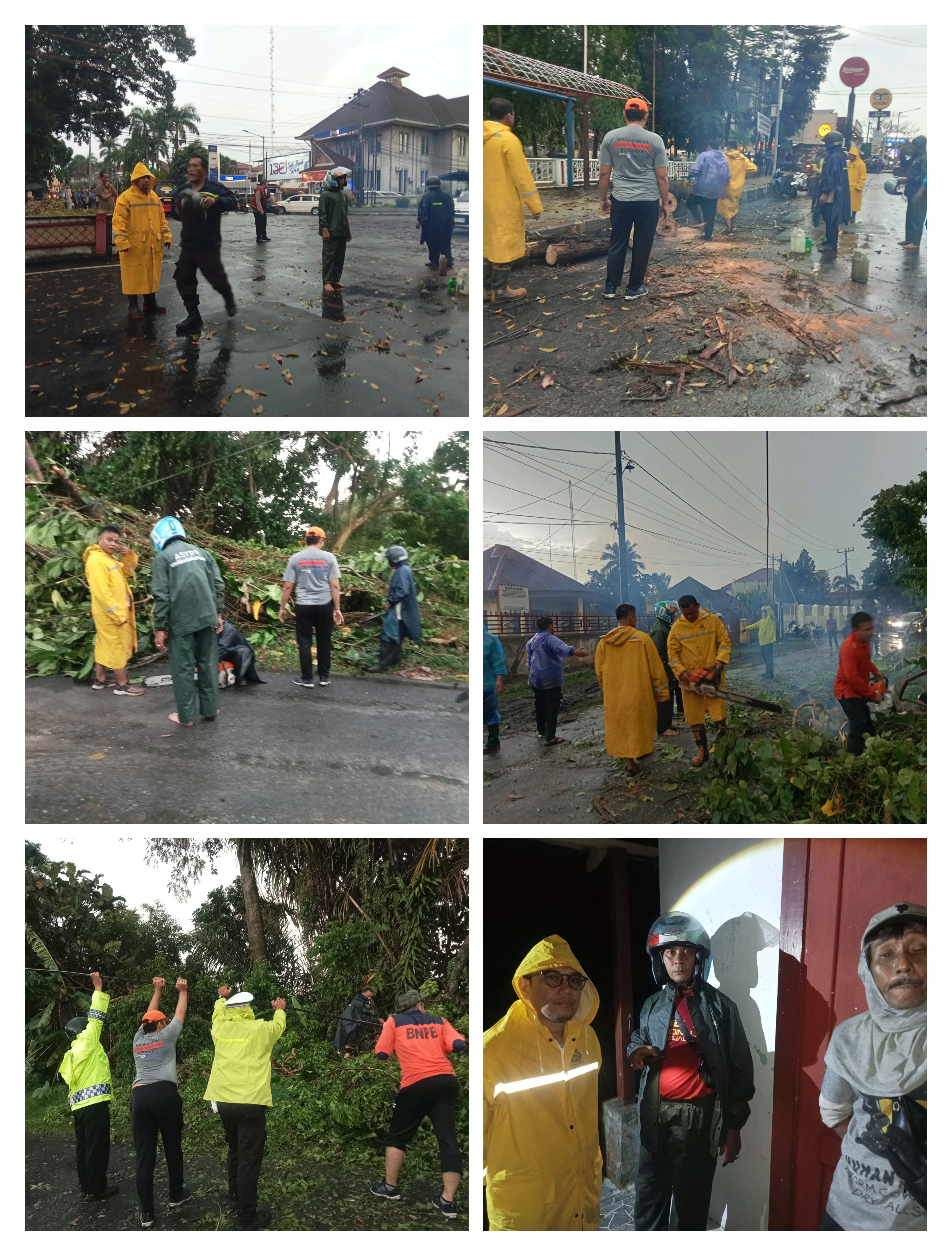 Evakuasi Pohon Tumbang Dan Survei Rumah Terdampak Angin Puting Beliung