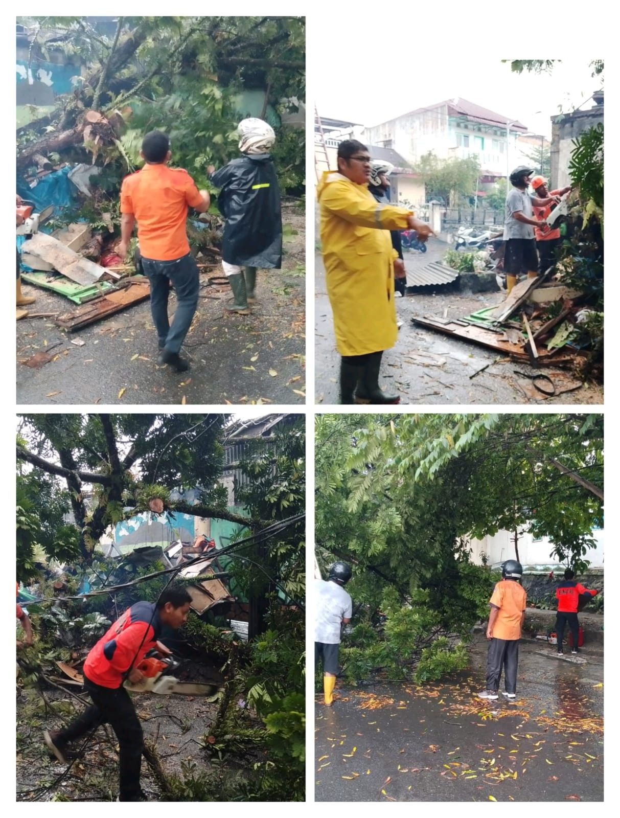 Evakuasi Pohon Tumbang Dijalan Kasti