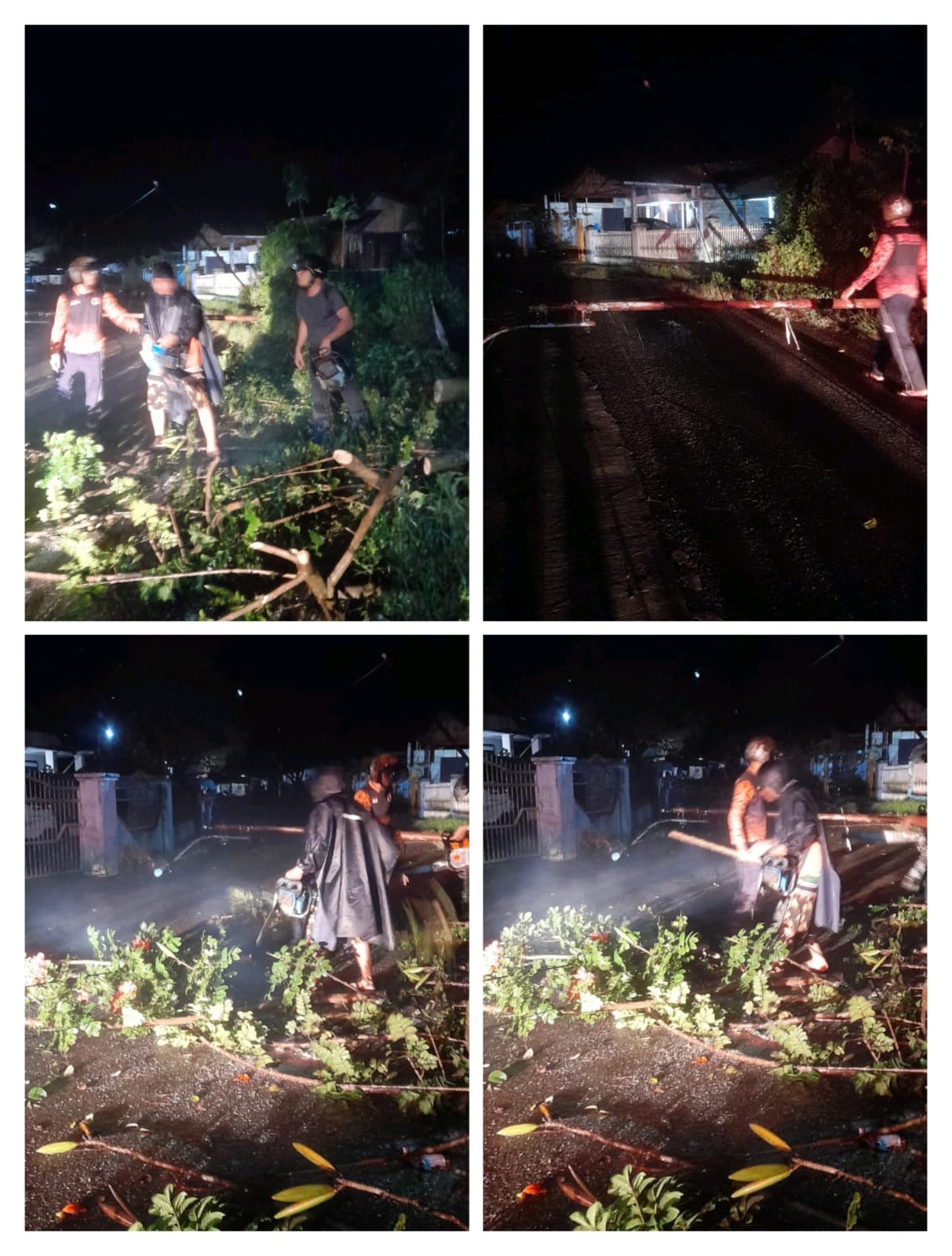 Pohon Tumbang Jalan Nenas