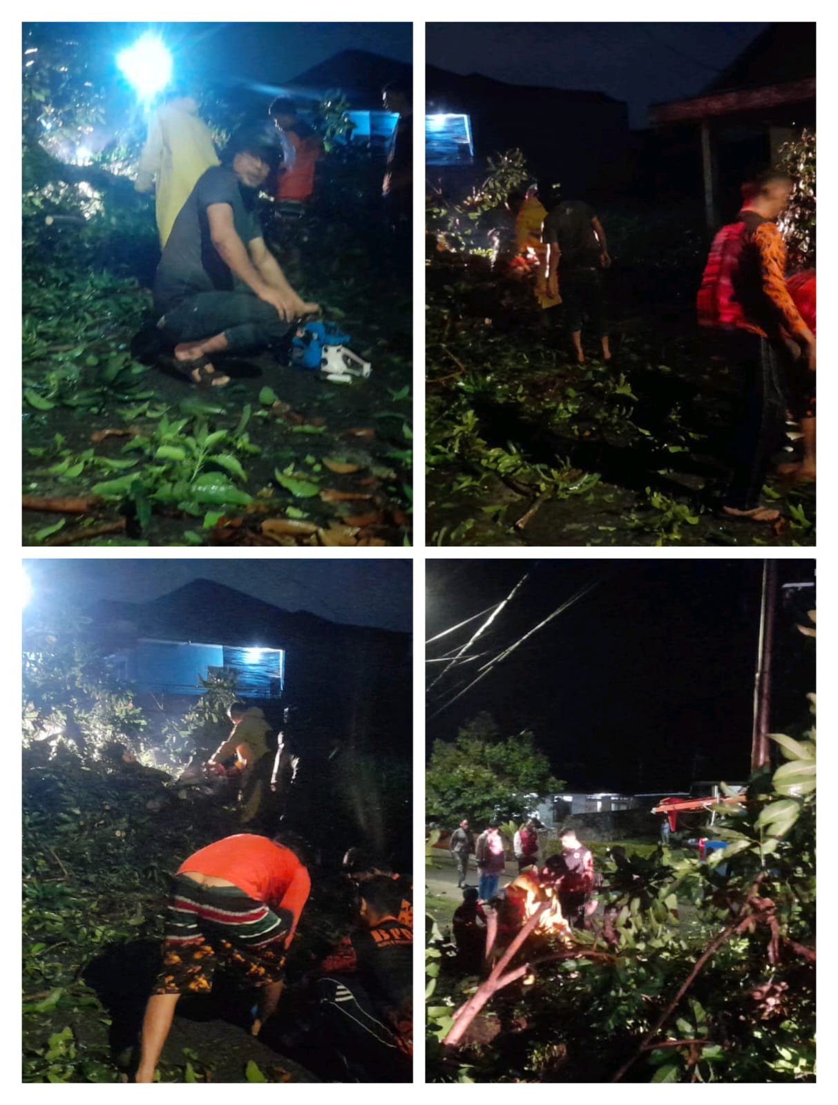 Pohon Tumbang Di jalan Durian