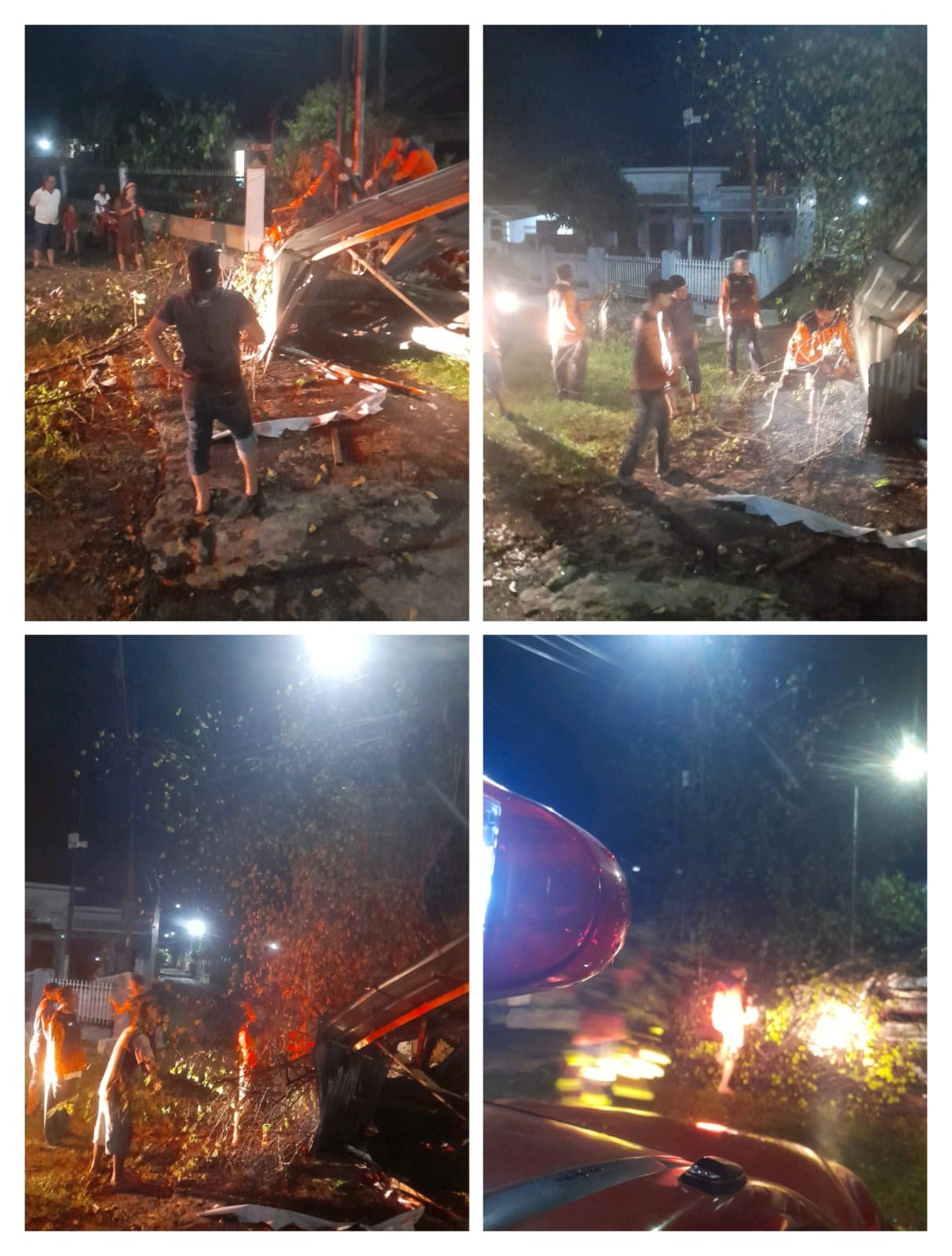 Pohon Tumbang Di Jalan Farel Pasaribu Gang Kelapa Sawit