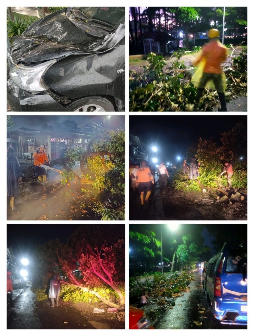 Evakuasi Pohon Tumbang Di 3 Titik Kota Pematangsiantar